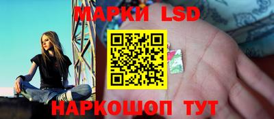 гашик Шахты