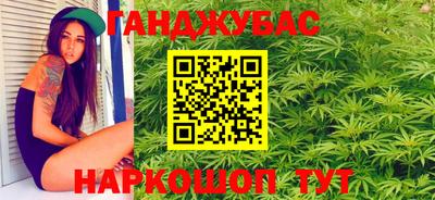 гашик Шахты