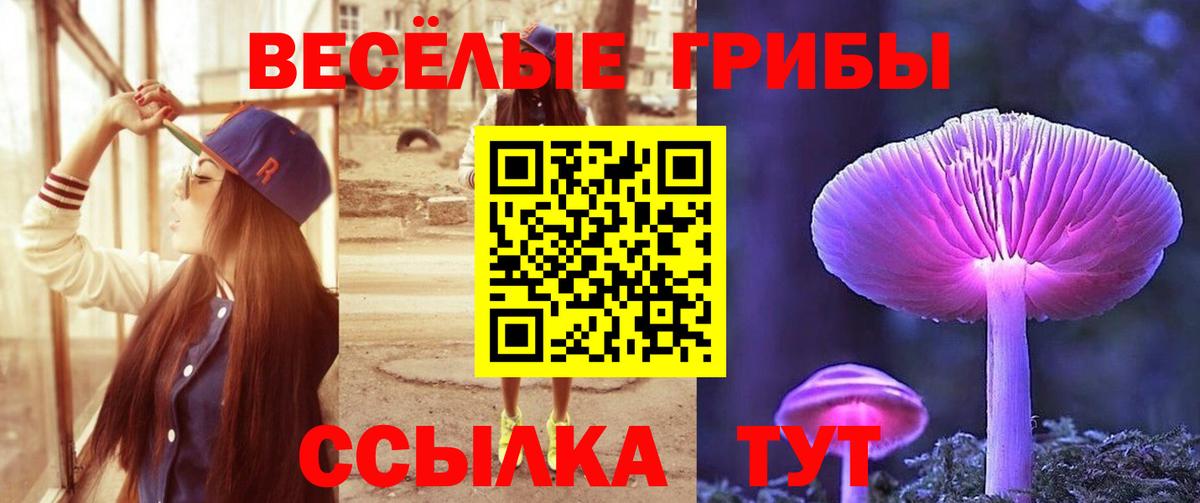 Миасс  закладки  Вход с VPN  Псилоцибиновые грибы Psilocybine cubensis 
